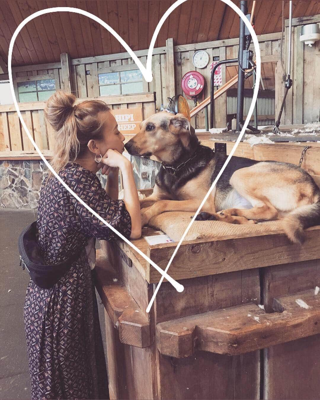 階上実穂さんのインスタグラム写真 - (階上実穂Instagram)「ぶーちゃんにそっくりな🐶 ふたりでウルウルしてしまったよ... そして最後の最後まで触り続けるしつこいやつら。笑  まだまだぶーちゃんロスは続きそうです😢  #nz🇳🇿 #ニュージーランド旅行 #newzealand #rotorua #agrodome #dog #牧羊犬」4月11日 18時31分 - miho_ishigami