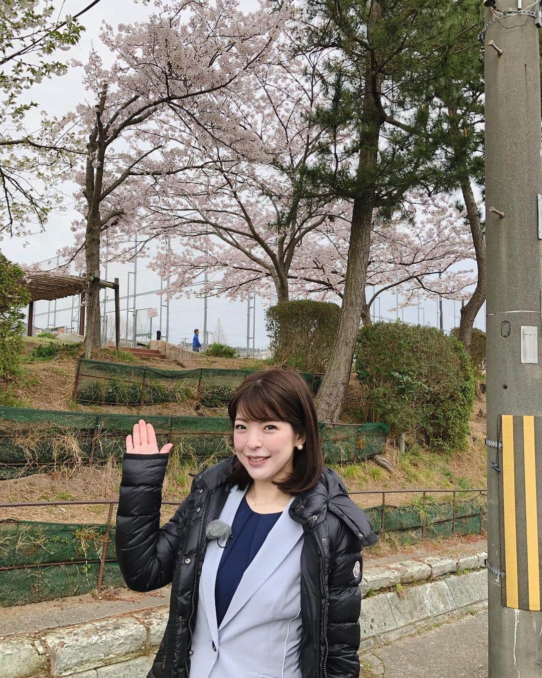 倉窪莉沙のインスタグラム：「* 今日は住宅関係のVPでレポーターを務めました。久しぶりのレポーター、楽しかったです🥰神戸市北区は桜が満開でしたよ〜🌸 . #寒の戻り #三寒四温 #桜とダウンコートがミスマッチ #アナウンサー #ママ時々アナウンサー #レポーター #神戸 #桜 #さくら #sakura」