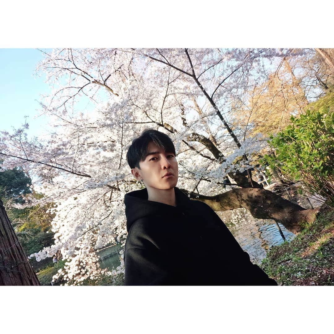 ダンソン・タンのインスタグラム：「📸📸📸美🌸🌸🌸 #DT視角 #唐禹哲 #攝影師  #东京 #櫻花  #HOTHEART #SEVENDAYS #DT #TOKYO #cherryblossom #sakura」