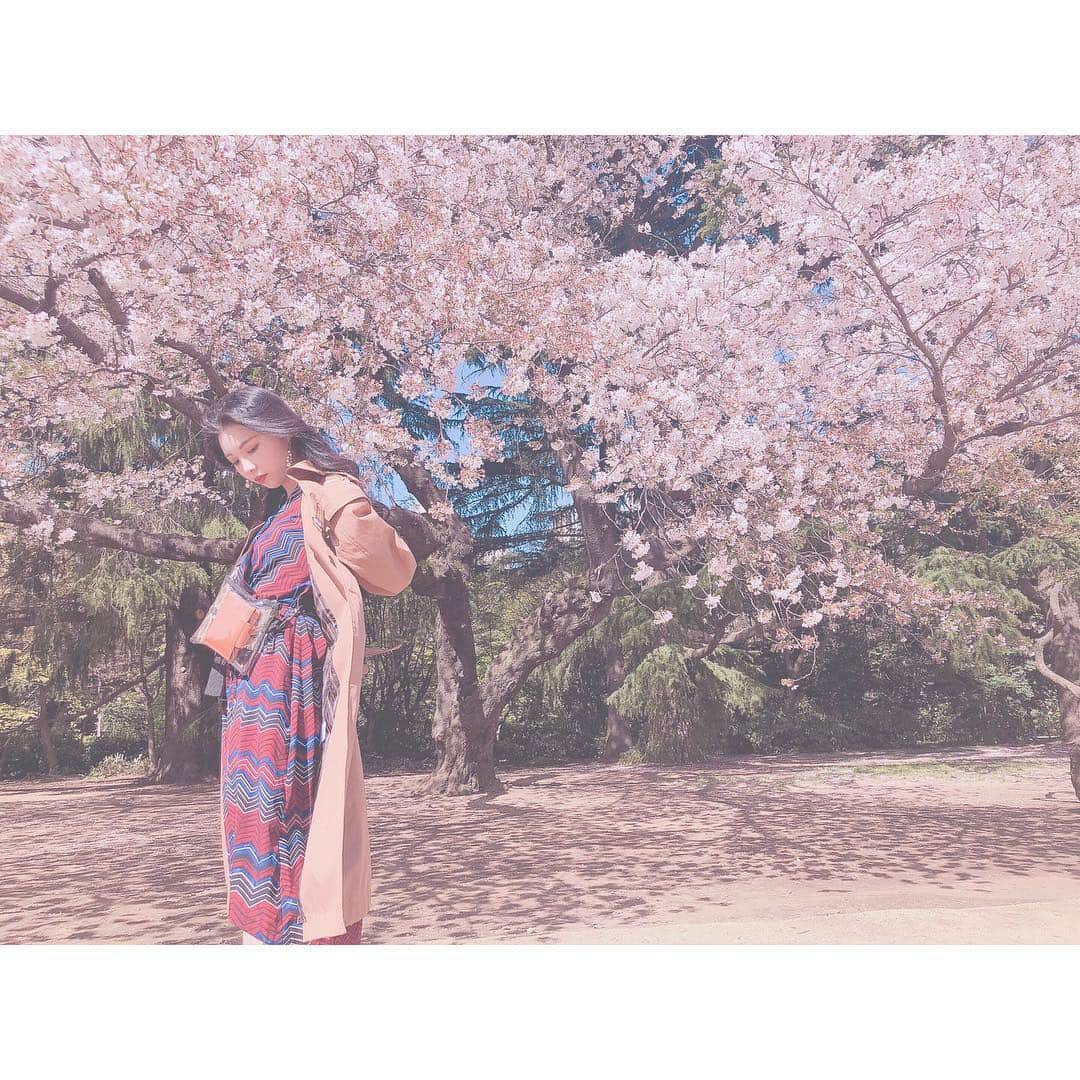 野崎夏帆さんのインスタグラム写真 - (野崎夏帆Instagram)「🌸﻿﻿ ﻿﻿ お花見！﻿﻿ ﻿﻿ 強風過ぎて色々やばかったけど楽しかった♪﻿﻿ 綺麗だったなぁ﻿ ﻿ ﻿ 一枚目、桜の影が仮面みたいになっててすごくお気に入り😍﻿ ﻿﻿ #お花見﻿﻿ #桜﻿﻿ #sakura﻿﻿ #cherryblossom﻿﻿ #japan﻿﻿ #camera﻿﻿ #カメラ﻿﻿ #portrait﻿﻿ #ポートレート」4月11日 19時31分 - _kahochinresu