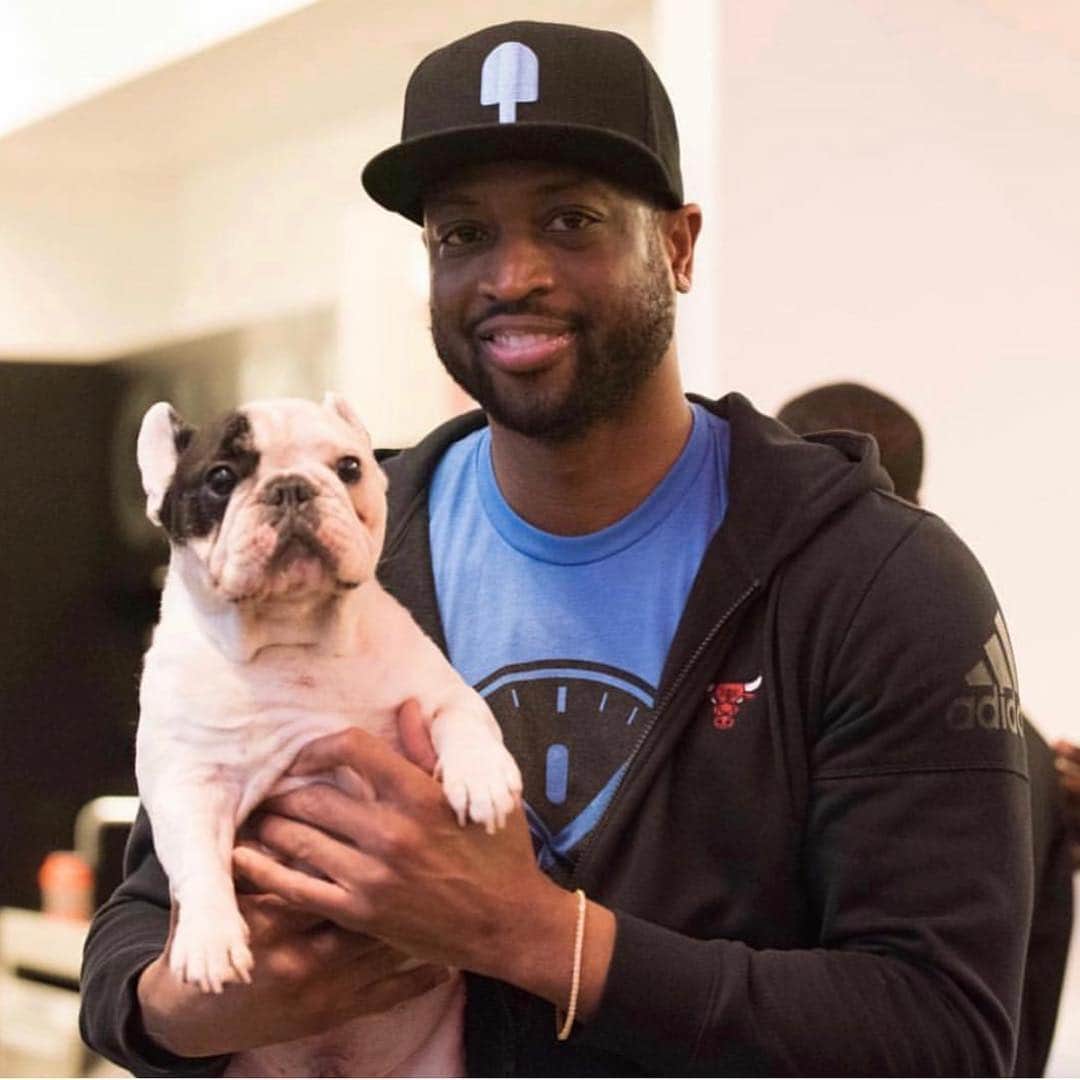 Manny The Frenchieのインスタグラム：「Congrats @dwyanewade on such an amazing NBA career. #nba #dwade」