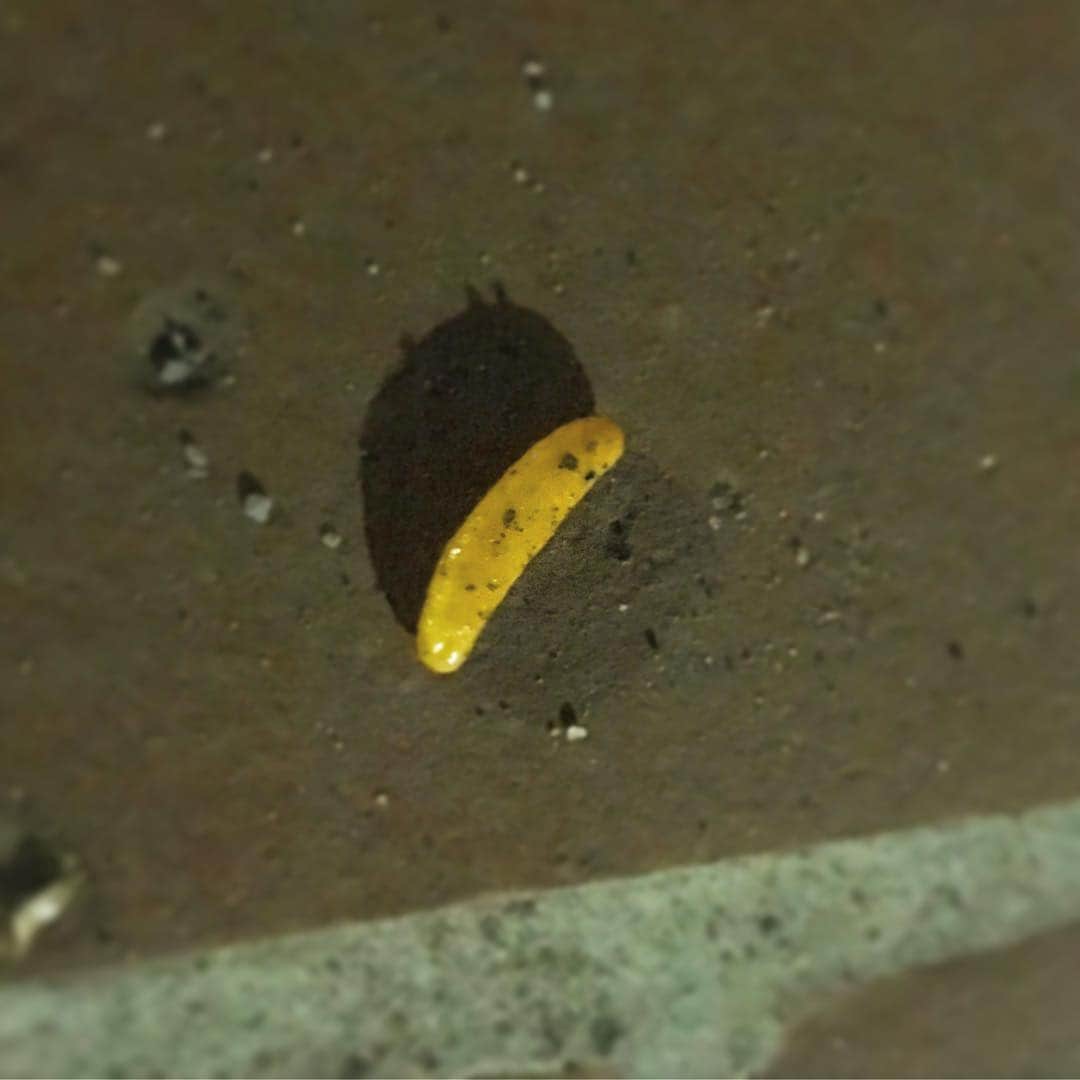 中倉隆道のインスタグラム