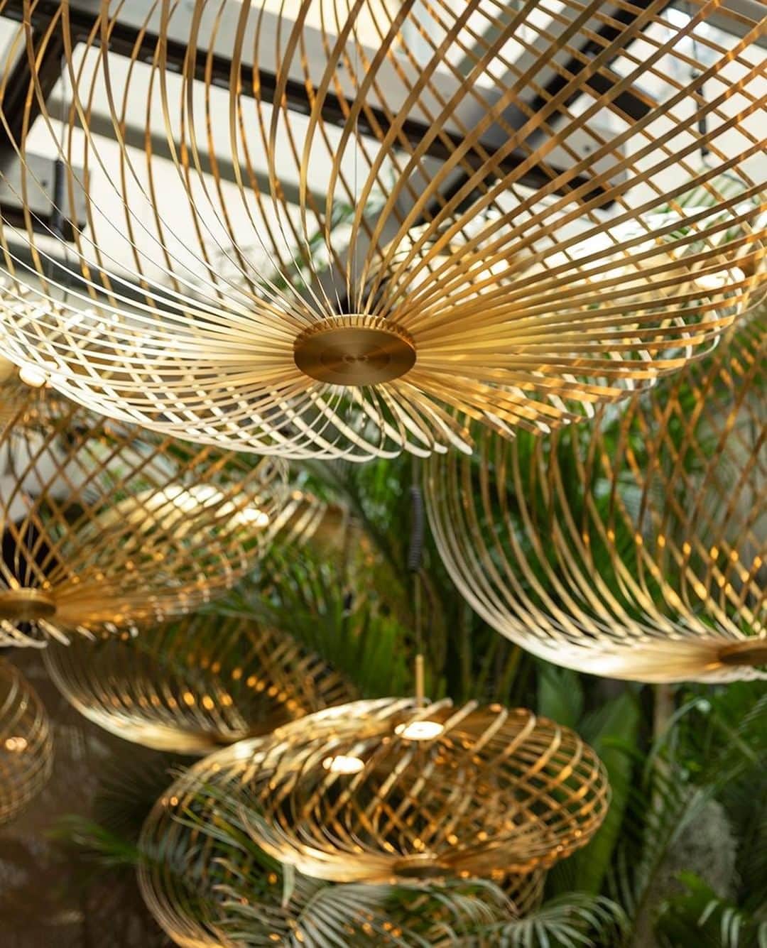 のインスタグラム：「New SPRING lights in the Jungle at The Manzoni.⁣ ⁣ Our restaurant, showroom and shop is open for Milan Design Week. ⁣ Open Thurs-Sat 10-6 and Sun 10-4 then reopening in May.⁣ ⁣ ⁣ #tomdixon #themanzoni#milanogram #tomdixonMANZONI#fuorisalone #fuorisalone2019#milan2019 #milandesignweek#milandesignweek2019 #tomdixonSPRING⁣ ⁣ @themanzoni by @tomdixonstudio's @design_research_studio with @jlk_ds #jlkds⁣」