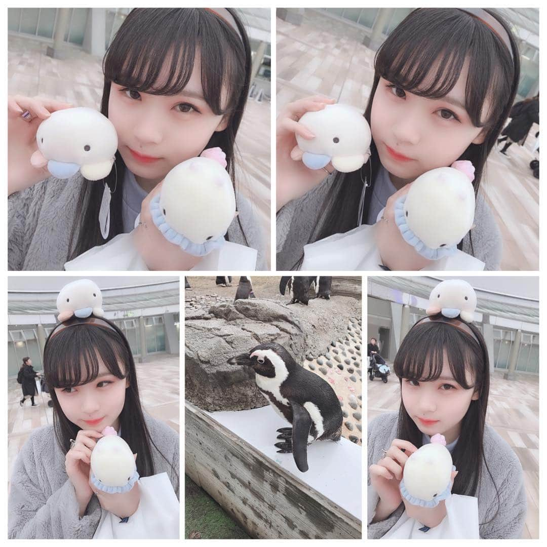 荒巻美咲さんのインスタグラム写真 - (荒巻美咲Instagram)「🐋 エミリーさえちゃんとマリンワールドに行った時の写真❕ クラゲとウミウシのぬいぐるみ買っちゃったー٩( ᐛ )و また水族館行きたいな＾＾ マリンワールドではフォトブースがあって、撮ってもらって小さい写真は無料でもらえるんだけど、その写真を撮ってもらった後に、写真撮れましたよっていう意味のスタッフさんが言う言葉があって、撮れまり〜ん♩って言うんだけど、それを3人でまねして遊んでた＾＾ 撮れまり〜ん♩  #水族館 #マリンワールド #くらげ #クラゲ #うみうし #ウミウシ」4月11日 20時22分 - mirun.jellyfish.0128