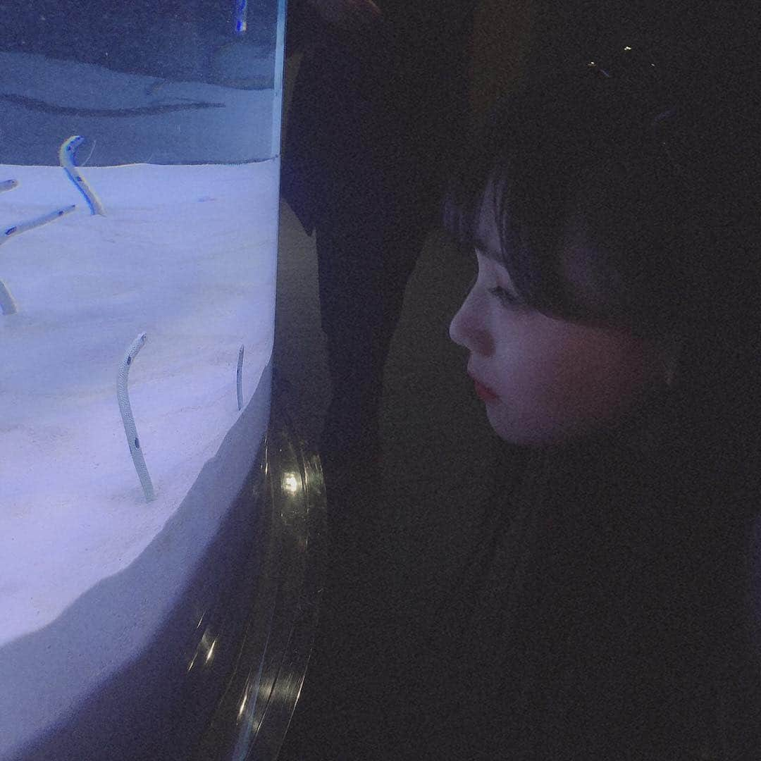 荒巻美咲さんのインスタグラム写真 - (荒巻美咲Instagram)「🐋 エミリーさえちゃんとマリンワールドに行った時の写真❕ クラゲとウミウシのぬいぐるみ買っちゃったー٩( ᐛ )و また水族館行きたいな＾＾ マリンワールドではフォトブースがあって、撮ってもらって小さい写真は無料でもらえるんだけど、その写真を撮ってもらった後に、写真撮れましたよっていう意味のスタッフさんが言う言葉があって、撮れまり〜ん♩って言うんだけど、それを3人でまねして遊んでた＾＾ 撮れまり〜ん♩  #水族館 #マリンワールド #くらげ #クラゲ #うみうし #ウミウシ」4月11日 20時22分 - mirun.jellyfish.0128