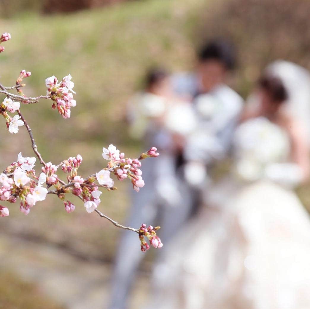 ブライダル グランシア須賀川《福島県須賀川市：結婚式場》のグルメインスタ