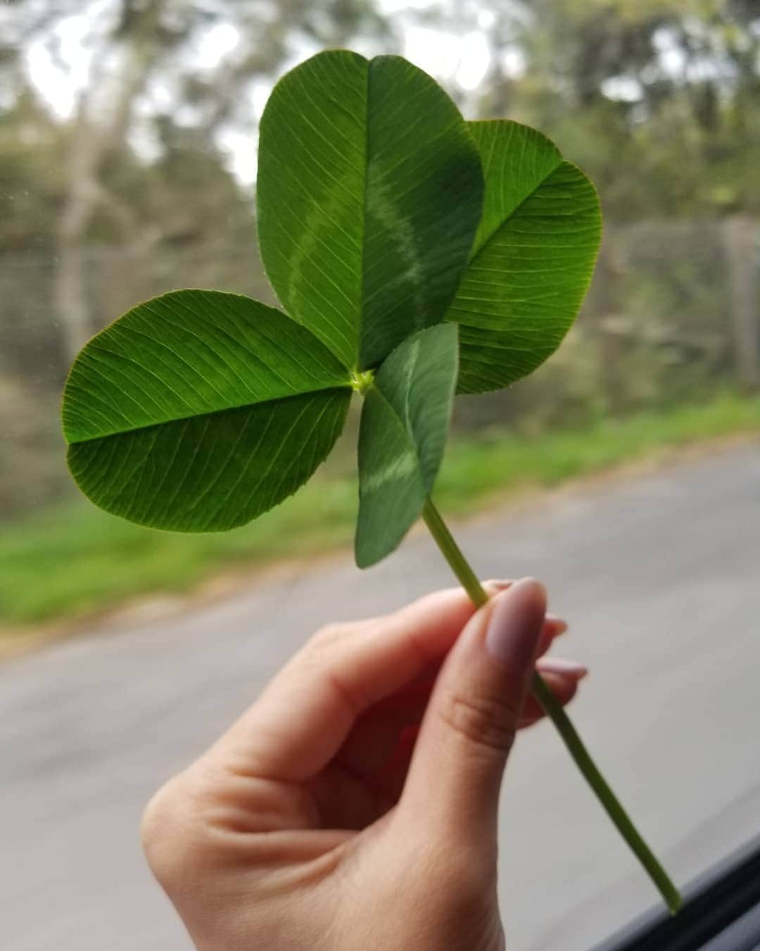 前田真里のグルメインスタ