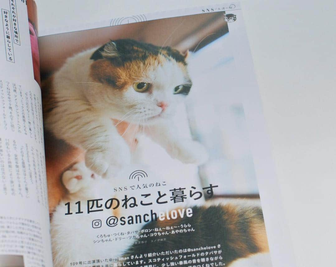 sancheloveさんのインスタグラム写真 - (sancheloveInstagram)「明日発売の雑誌『ねこ』に我が家のねこたちを取材していただいた記事が載っています☺️❤️前月号に掲載された @rojiman 父ちゃんと @umatan 母ちゃんから紹介していただきました。#光栄です ☺️❤️✨ 撮影した日はよく晴れた春の午後で、ねこたちが自然に過ごす様子をたくさん撮っていただきました。よかったらぜひご覧ください☺️🌸✨ #雑誌ねこ#ねこ#ねこマガジン#ネコパブリッシング#neko_magazine」4月11日 20時43分 - sanchelove