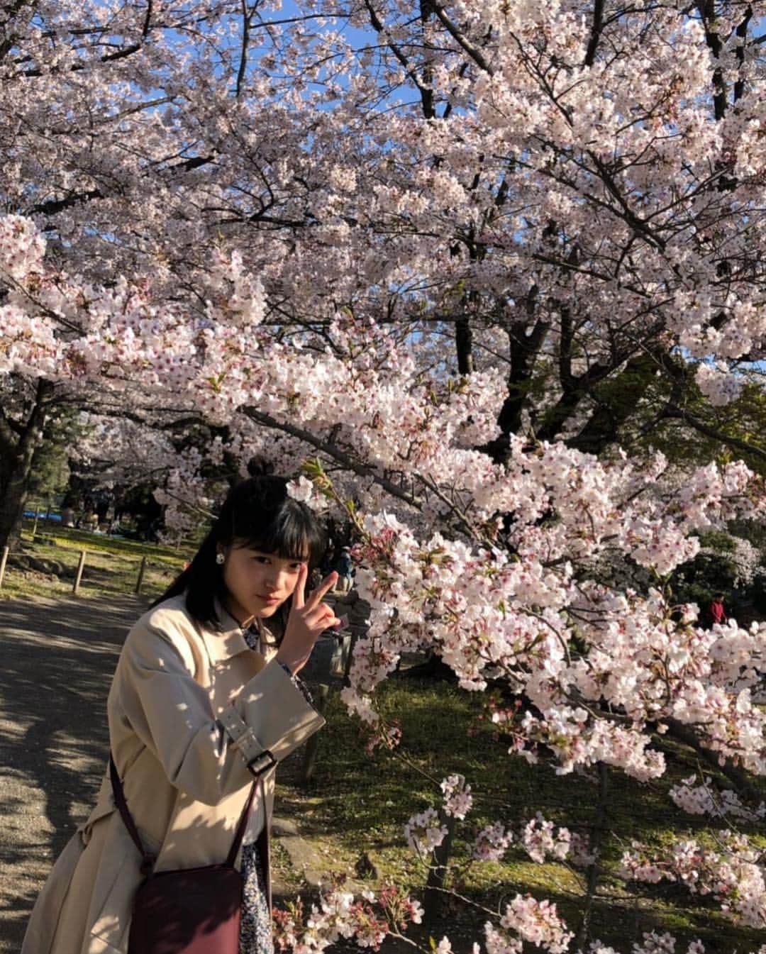 川床明日香さんのインスタグラム写真 - (川床明日香Instagram)「もう満腹っていうくらい、今年はたくさん桜見れました🌸 現像した写真は桜だらけです 笑 また桜の写真あげると思うので、皆さんお付き合いください。🙇‍♀️」4月11日 20時39分 - asuka_tokotoko