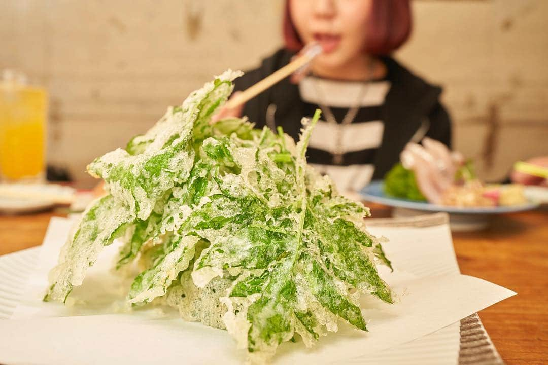 小鳥遊しほさんのインスタグラム写真 - (小鳥遊しほInstagram)「原宿って晩御飯食べられるとこ(居酒屋とか)あんまりないイメージだけど、ラフォーレ前というど真ん中に「八丈島料理」を食べられるお店を見つけたよ！！！という記事が公開になりました。読んでね！！！！ . . 漁師割りというお酒好き専用のお酒がすごいよ。そしてくさやがくさ美味しかったよ。 . . ストーリーにURL貼ってあるのでスワイプして読んでね❤️ . . #ヒトトキ #グルメ #原宿 #くさや #八丈島 #居酒屋  https://www.smbc-card.com/mem/hitotoki/eat/kakurenbomeshi_hattori.jsp?dk=sn_igm_083_20131」4月11日 20時47分 - shihotakanashi