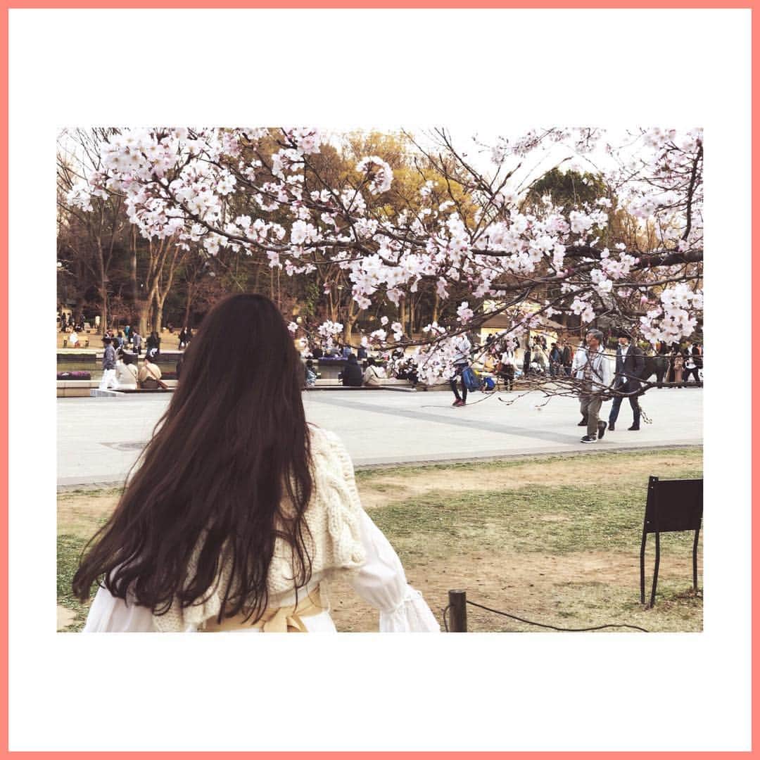 八尋莉那さんのインスタグラム写真 - (八尋莉那Instagram)「こんなに美しいのに1週間しか見れないと思うからときめくんだろうなぁ🌸東京の桜はオシマイ！ また来年✨ 休日インドア選手のわたしですが、今年は2回もお花見できちゃった✌🏻最高！ ・ The cherry blossoms in Tokyo are over. I'm looking forward to it again next year. ・ #🌸#さくら#桜#サクラチル#花見#Sakura#お花見#東京の桜#上野#上野公園#instagram#instagood#sacai#cocodeal」4月11日 21時09分 - rinahnna
