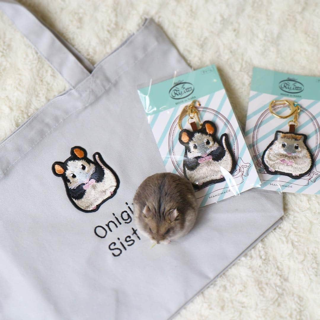 hamster_mocoのインスタグラム