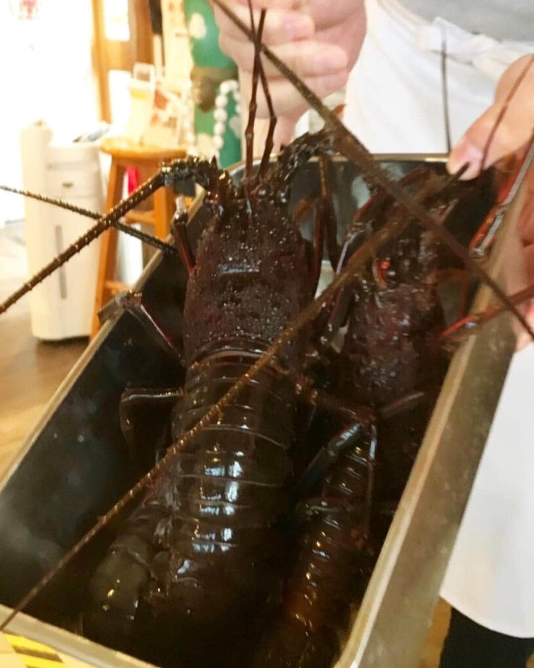 奈美悦子さんのインスタグラム写真 - (奈美悦子Instagram)「鴨川で伊勢海老カレー。贅沢なランチでした〜〜。#伊勢海老#カレー#Ebiya cafe#鴨川#ランチ#プリプリの伊勢海老#贅沢」4月11日 21時05分 - nami.etsuko