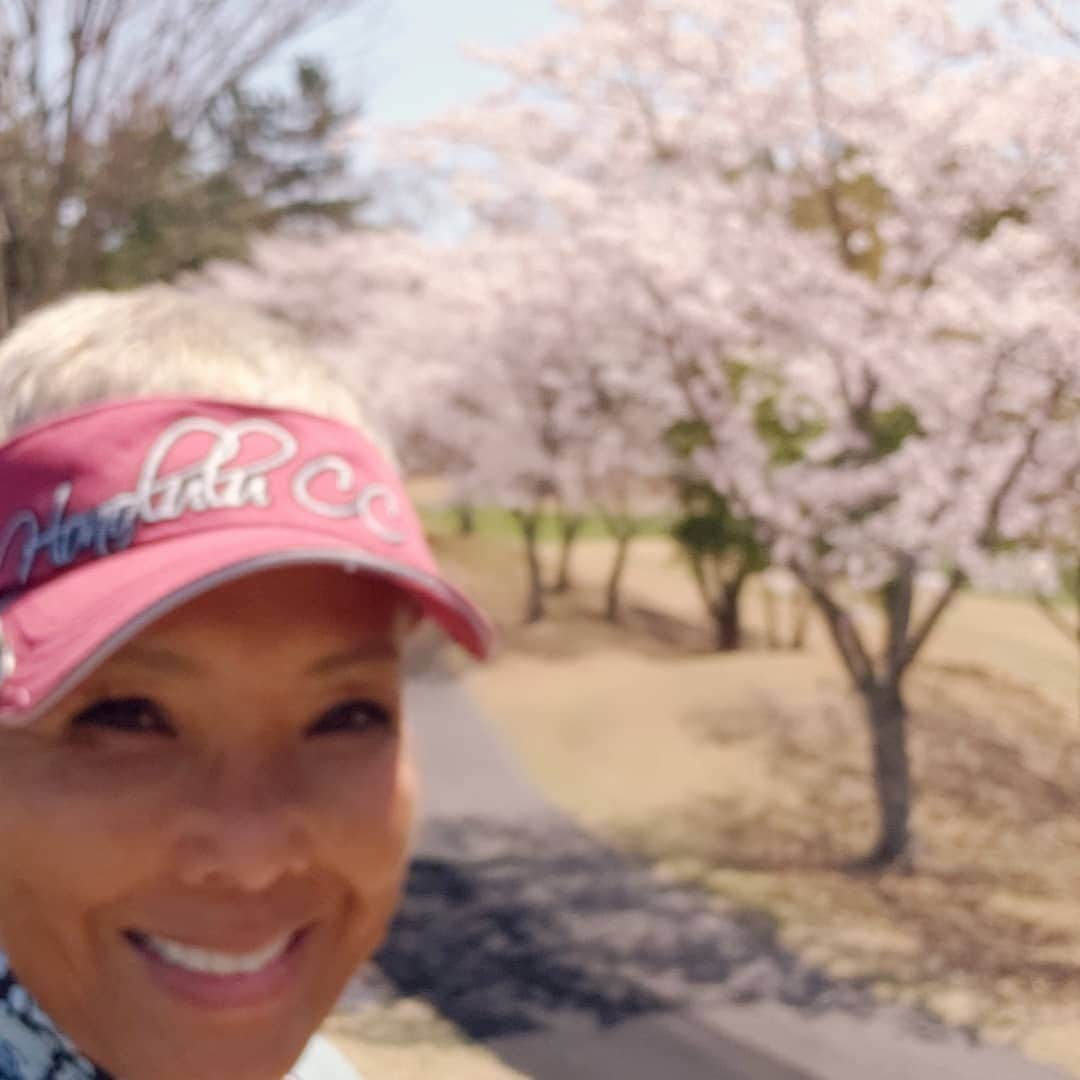 ピーターさんのインスタグラム写真 - (ピーターInstagram)「｢東広野ゴルフ倶楽部｣です❤️ 満開の桜、ハワイでもお世話になっております、富永夫妻とゴルフです‼️ #ピーター　#池畑慎之介#東広野ゴルフ倶楽部 #神戸　#ゴルフ #キャンピングカー一人旅」4月11日 21時10分 - oziba1952