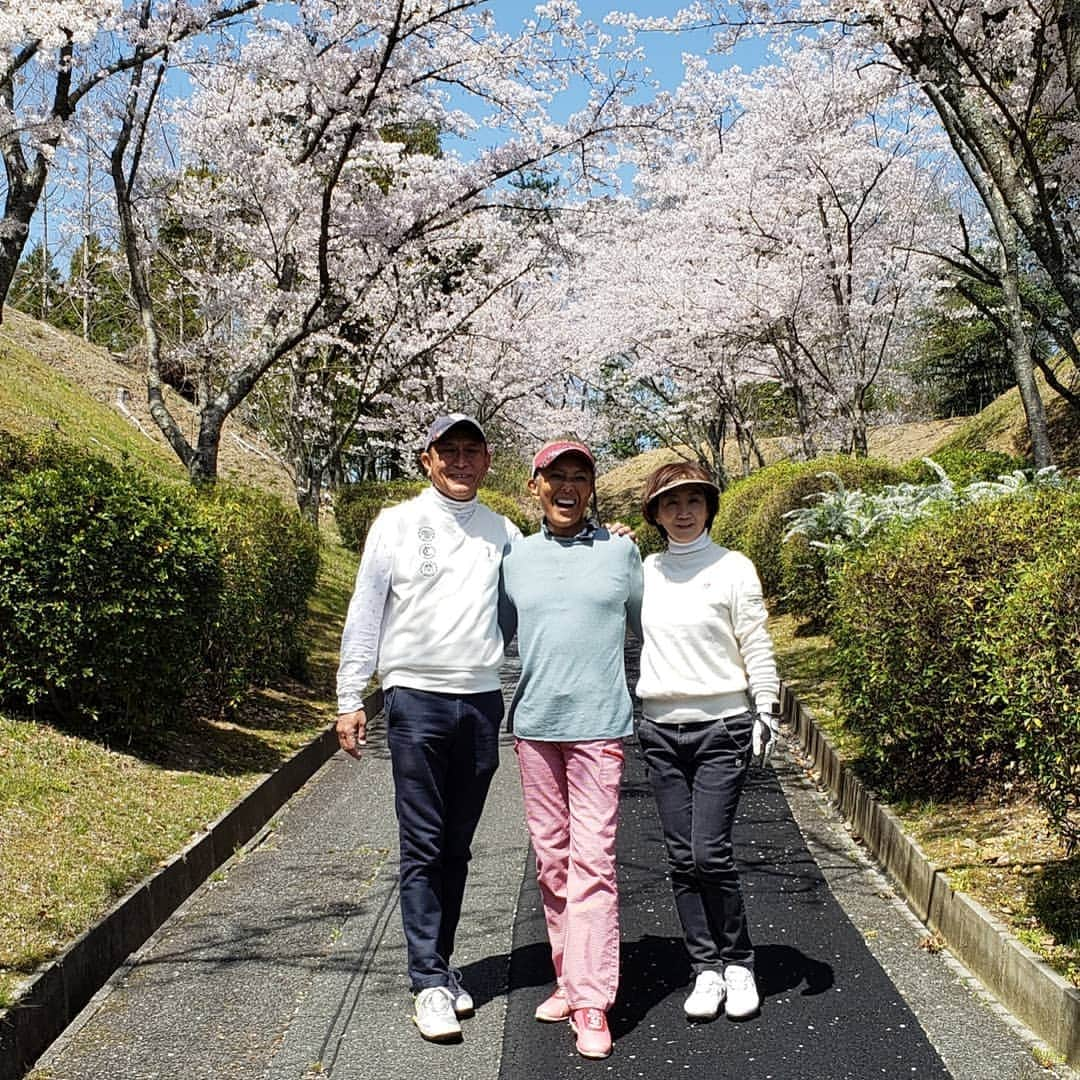 ピーターさんのインスタグラム写真 - (ピーターInstagram)「｢東広野ゴルフ倶楽部｣です❤️ 満開の桜、ハワイでもお世話になっております、富永夫妻とゴルフです‼️ #ピーター　#池畑慎之介#東広野ゴルフ倶楽部 #神戸　#ゴルフ #キャンピングカー一人旅」4月11日 21時10分 - oziba1952