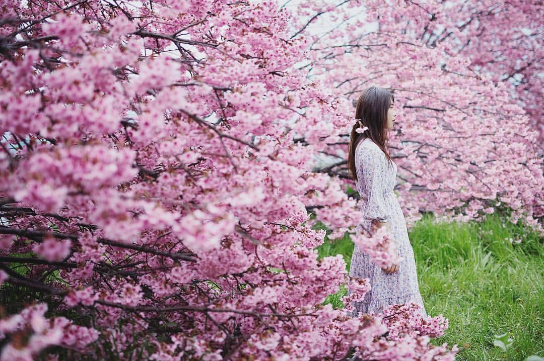Najiiのインスタグラム：「Bloom」