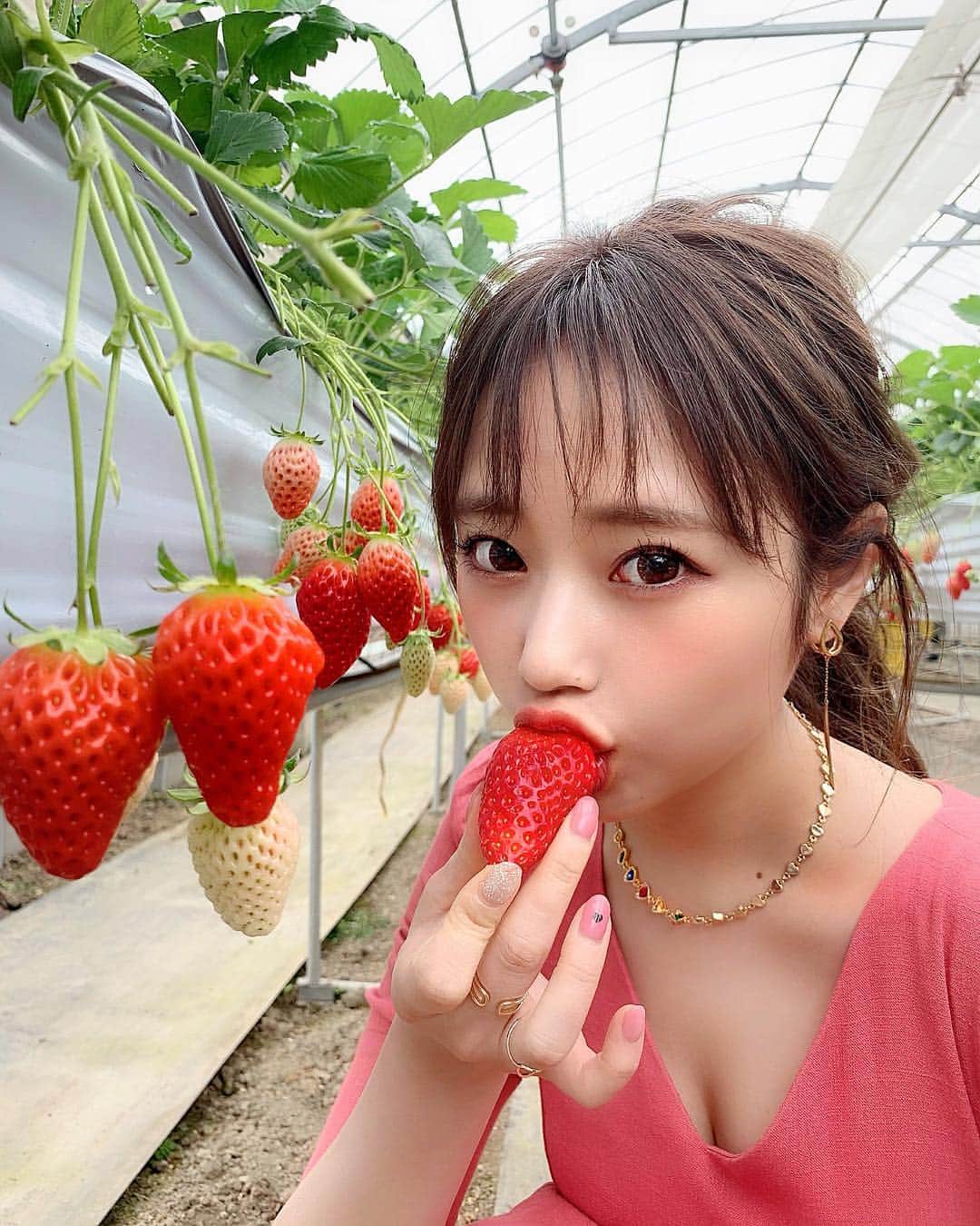 ゆいこ ◡̈♥︎さんのインスタグラム写真 - (ゆいこ ◡̈♥︎Instagram)「◡̈♥︎ ∮ いちご🍓🍓 ∮ ∮ 今年も行けた、いちご狩り🍓💓 ∮ 食べすぎて食べすぎて、 ２枚目 謎の一点見つめ 👀← ∮ ∮ ∮ ほんっまに 楽しかったぁあ🙋🏼‍♀️✨ ∮ ∮ ∮ #いちご狩り#strawberry #いちご」4月11日 21時22分 - yuiko__h