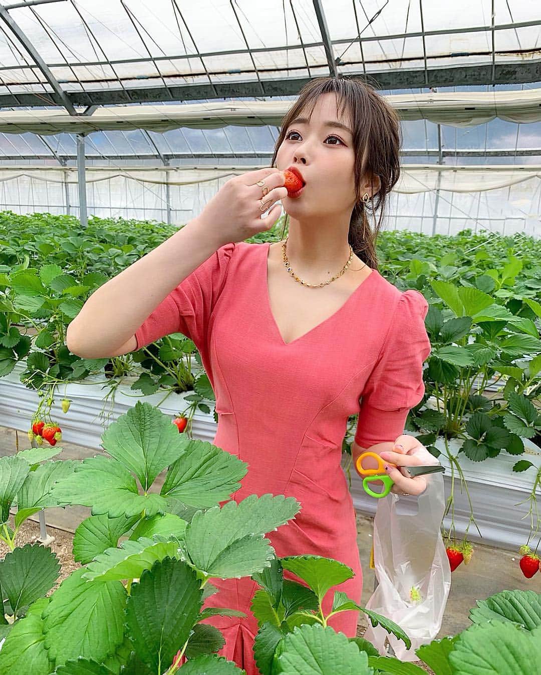 ゆいこ ◡̈♥︎さんのインスタグラム写真 - (ゆいこ ◡̈♥︎Instagram)「◡̈♥︎ ∮ いちご🍓🍓 ∮ ∮ 今年も行けた、いちご狩り🍓💓 ∮ 食べすぎて食べすぎて、 ２枚目 謎の一点見つめ 👀← ∮ ∮ ∮ ほんっまに 楽しかったぁあ🙋🏼‍♀️✨ ∮ ∮ ∮ #いちご狩り#strawberry #いちご」4月11日 21時22分 - yuiko__h