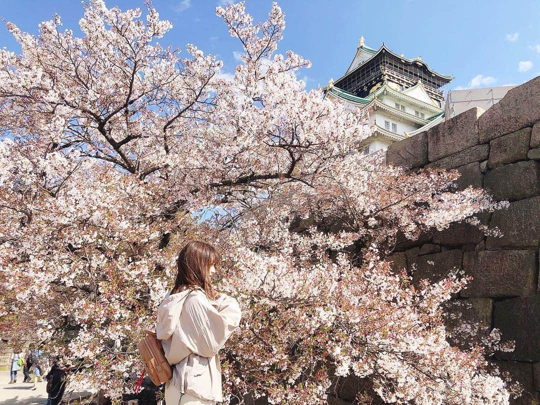 新矢皐月さんのインスタグラム写真 - (新矢皐月Instagram)「#大阪城 と #桜 . . 黄色い鳥にも出会えて 春からいい一年になりそう🐤✨ . . 🐥みなさんにもお裾分け🐥 . . #大阪城公園 #🌸 #鳥 #🐥 . . #大阪旅行 #大阪観光 #大阪  #旅行  #国内旅行 #旅 #旅游 #osaka #japan #blossom #cherryblossom #japantrip #japan_photo_now #japan_focus  #travel #旅スタグラム #japanesegirl #f #l #followｍe #follow_me」4月11日 21時27分 - araya_satsuki