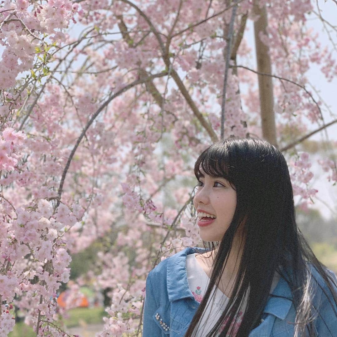 堤もねさんのインスタグラム写真 - (堤もねInstagram)「#桜」4月11日 21時36分 - mone._.mone