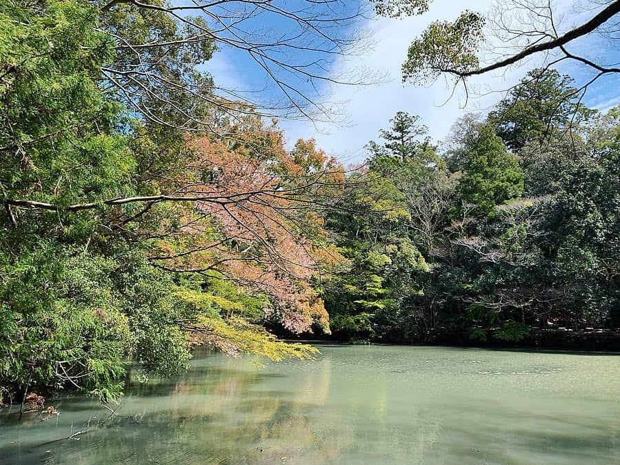 尾崎ななみさんのインスタグラム写真 - (尾崎ななみInstagram)「❁︎ ㅤㅤㅤㅤㅤㅤㅤㅤㅤㅤㅤㅤㅤ 今日は伊勢市内で撮影を ◡̈ ㅤㅤㅤㅤㅤㅤㅤㅤㅤㅤㅤㅤㅤ #内宮 へ1月は初詣、2.3.4月は撮影と、連続で来れて凄く嬉しいな✧︎ ㅤㅤㅤㅤㅤㅤㅤㅤㅤㅤㅤㅤㅤ ありがとうございます( ˘͈ ᵕ ˘͈ ) ㅤㅤㅤㅤㅤㅤㅤㅤㅤㅤㅤㅤㅤ ㅤㅤㅤㅤㅤㅤㅤㅤㅤㅤㅤㅤㅤ お天気も良く青空ー！ ㅤㅤㅤㅤㅤㅤㅤㅤㅤㅤㅤㅤㅤ 強風だったからか、あまり見ない形の雲が見れて、空を見上げながら歩くのも楽しかったな。ㅤㅤㅤㅤㅤㅤㅤㅤㅤㅤㅤㅤㅤ ㅤㅤㅤㅤㅤㅤㅤㅤㅤㅤㅤㅤㅤ ㅤㅤㅤㅤㅤㅤㅤㅤㅤㅤㅤㅤㅤ お昼はすし久の#手こね寿司 を♬ㅤㅤㅤㅤㅤㅤㅤㅤㅤㅤㅤㅤㅤ  ㅤㅤㅤㅤㅤㅤㅤㅤㅤㅤㅤ ㅤㅤㅤㅤㅤㅤㅤㅤㅤㅤㅤㅤㅤ ㅤㅤㅤㅤㅤㅤㅤㅤㅤㅤㅤㅤㅤㅤㅤㅤㅤㅤㅤㅤㅤㅤㅤㅤㅤ  ㅤㅤㅤㅤㅤㅤㅤㅤㅤㅤㅤㅤㅤㅤㅤㅤㅤㅤㅤㅤㅤㅤㅤㅤ ㅤㅤㅤㅤㅤㅤㅤㅤㅤㅤㅤㅤㅤ  ㅤ  ㅤ  ㅤ ✧︎*⑅୨୧┈┈┈┈୨୧⑅* ❁︎⑅୨୧┈┈┈┈୨୧⑅✧︎*。 #三重#三重県#伊勢#伊勢志摩#伊勢神宮#お伊勢さん#鳥居#宇治橋#五十鈴川#すし久#おはらい町#visitjapan#伊勢志摩アンバサダー#尾崎ななみ#73mie」4月11日 21時39分 - nanami_ozaki_73