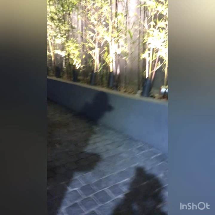 イルマニアのインスタグラム