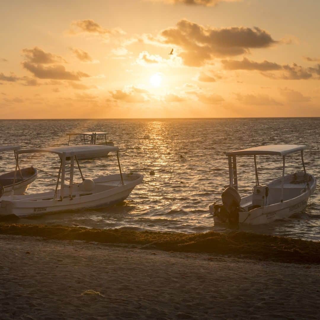 ルフトハンザさんのインスタグラム写真 - (ルフトハンザInstagram)「Close to Cancún is the small port city of Puerto Morelos, where the sunsets are said to be among the most beautiful. #Lufthansa #CityOfTheMonth #Cancún」4月11日 22時00分 - lufthansa