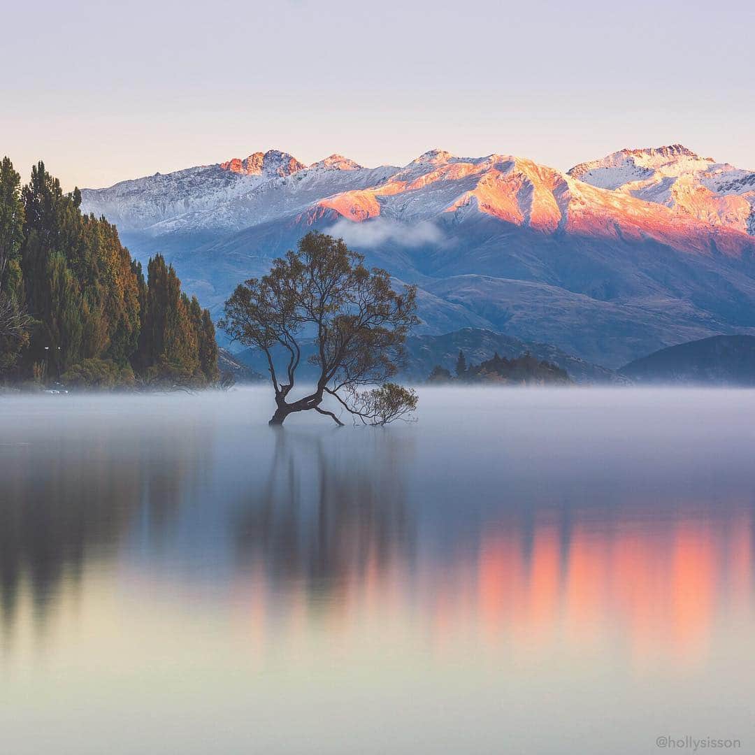 Holly Sissonのインスタグラム：「I never imagined I’d have the chance to photograph #thatwanakatree! Or visit the other side of the world! Still seems a bit surreal 🤣 #newzealand #longexposure #sunrise ~ Canon 5D MkIV + 70–200 f2.8L IS MkII @  90mm f8 30s (See my bio for full camera equipment information plus info on how I process my images. 😊) ~ #pickmotion」
