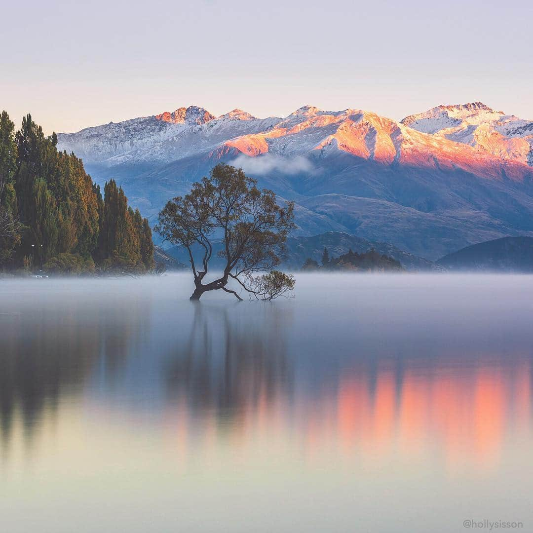 Holly Sissonさんのインスタグラム写真 - (Holly SissonInstagram)「I never imagined I’d have the chance to photograph #thatwanakatree! Or visit the other side of the world! Still seems a bit surreal 🤣 #newzealand #longexposure #sunrise ~ Canon 5D MkIV + 70–200 f2.8L IS MkII @  90mm f8 30s (See my bio for full camera equipment information plus info on how I process my images. 😊) ~ #pickmotion」4月11日 22時03分 - hollysisson