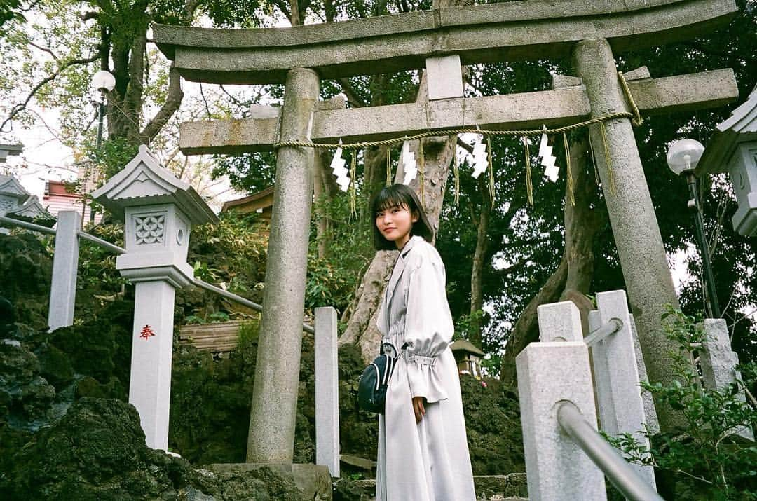 福岡聖菜さんのインスタグラム写真 - (福岡聖菜Instagram)「ポジティブ。 * * 最近はなぜか 神社に行くことが多いな。 その度におみくじを引いて 大吉から凶まで色々出るけど 実は書いてあるのは同じ内容で、 「今目の前にあることを大切に、 焦らずじっくりね」 って解釈(^^) * * おすすめの神社はありますか？ * * #神社巡り#多摩川 #多摩川浅間神社 #パワースポット  #フィルムカメラ #フィルムカメラに恋してる」4月11日 22時06分 - seina___ff