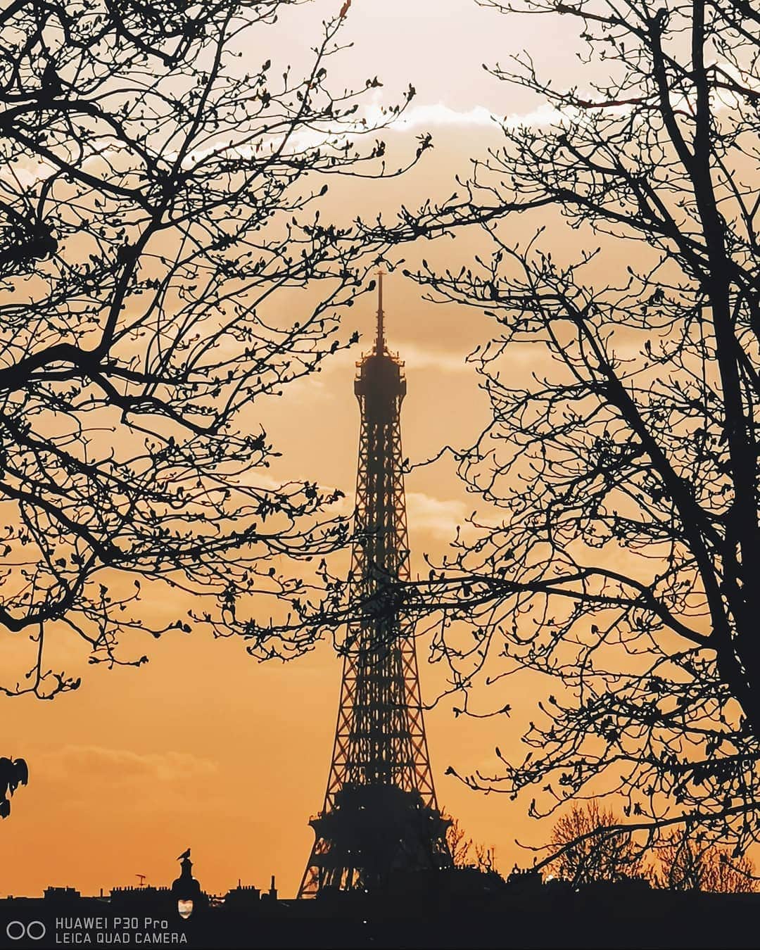 Nicanor Garcíaのインスタグラム：「Eyes of spring | Ojos de primavera #nicanorgarcia #travelarchitectures · A few weeks ago in Paris, after the presentation of the #HuaweiP30Pro, testing its new and powerful camera with @huaweimobileesp. The first photo with the 10x zoom (270mm) and the second one with the wide angle 0,6x (16mm) #RewriteTheRules · Hace unas semanas en París, tras la presentación del #HuaweiP30Pro, probando su nueva y potente cámara con @huaweimobileesp. La primera foto con el zoom 10x (270mm) y la segunda con el gran angular 0,6x (16mm) #ReescribeLasReglas」