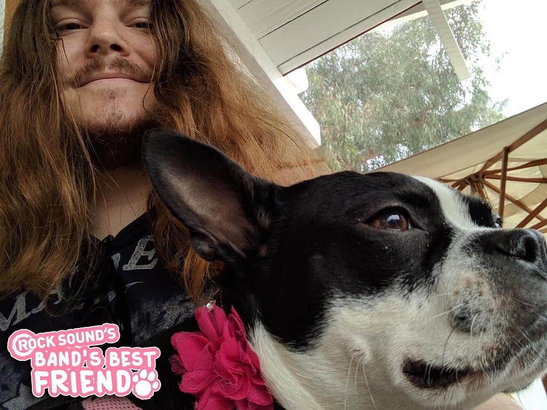 Rock Soundさんのインスタグラム写真 - (Rock SoundInstagram)「Happy #nationalpetday from us and a whole lot of Rock Star pets!」4月11日 22時26分 - rocksound