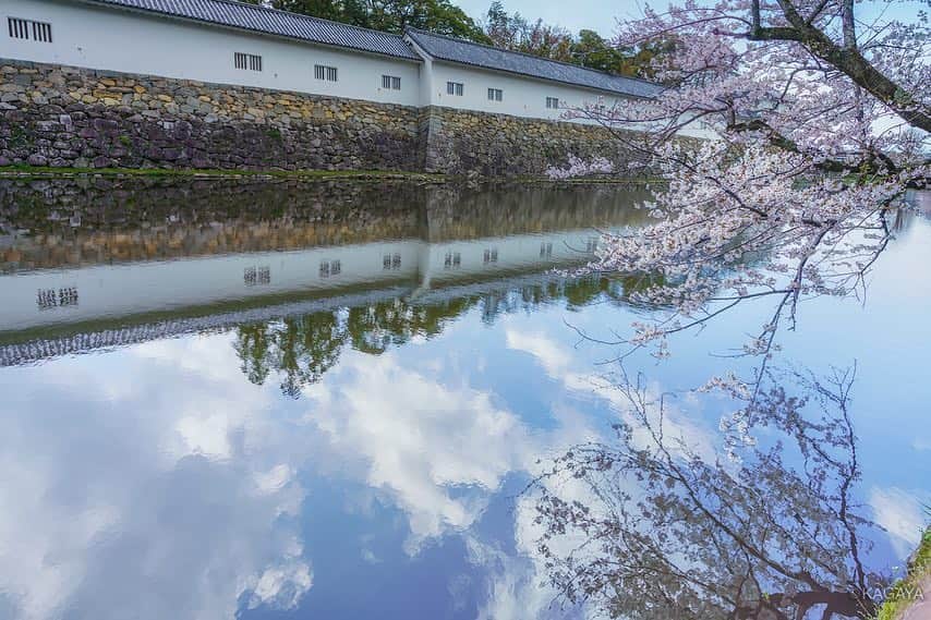 KAGAYAさんのインスタグラム写真 - (KAGAYAInstagram)「春の彦根城。 １、宵月と夜桜。水面に映り天空に浮かぶ城のよう。 ２、うららかな空映す。 ３、ひこにゃん。 （今週、滋賀県にて撮影）  1枚目の撮影データ カメラ：ソニー α7R III レンズ：ソニー FE 16-35mm F2.8 GM → F3.5 露出4秒　ISO100  #桜 #星空 #夜景  #ひこにゃん #彦根 #japan #ig_japan #ig_asia」4月11日 22時37分 - kagaya11949