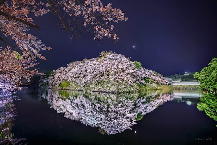 KAGAYAさんのインスタグラム写真 - (KAGAYAInstagram)「春の彦根城。 １、宵月と夜桜。水面に映り天空に浮かぶ城のよう。 ２、うららかな空映す。 ３、ひこにゃん。 （今週、滋賀県にて撮影）  1枚目の撮影データ カメラ：ソニー α7R III レンズ：ソニー FE 16-35mm F2.8 GM → F3.5 露出4秒　ISO100  #桜 #星空 #夜景  #ひこにゃん #彦根 #japan #ig_japan #ig_asia」4月11日 22時37分 - kagaya11949