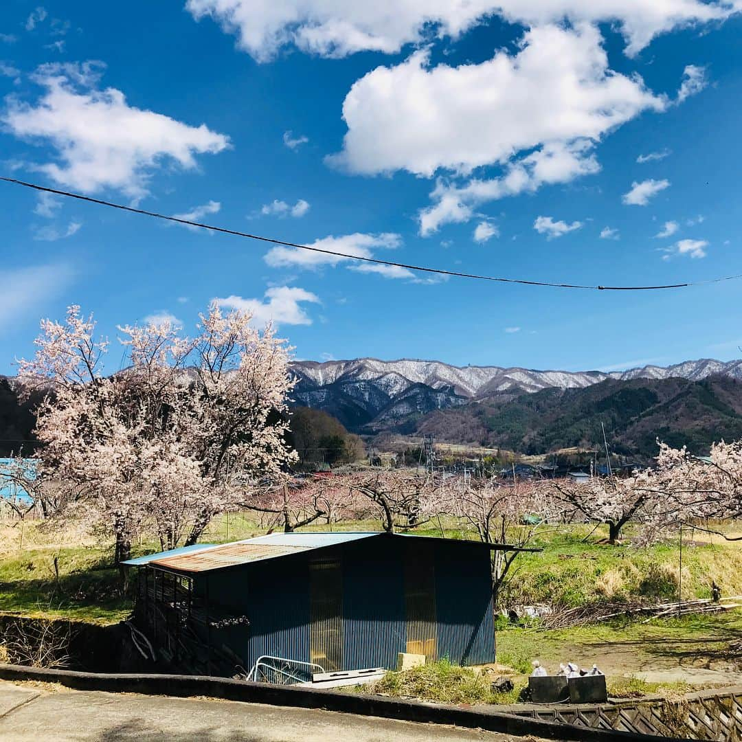 清野菜名さんのインスタグラム写真 - (清野菜名Instagram)「やすらぎの刻 道  今日は、公一兄ちゃんと三平兄ちゃんとキャッチボールをしました。 おつかれーらいす  #やすらぎの刻道」4月11日 22時38分 - seinonana