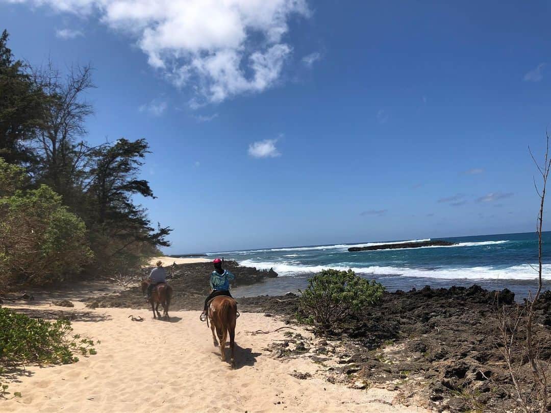 平野綾さんのインスタグラム写真 - (平野綾Instagram)「お天気よし。﻿ ﻿ 風よし。﻿ ﻿ お馬さんおりこう。﻿ ﻿ インストラクターさんKawaiiKon来てた。﻿ ﻿ ﻿ ﻿ ……完璧です♪(´ε｀ )✨﻿ ﻿ ﻿ ﻿ #northshore #oahu #hawaii﻿ #kawaiikon #kawaiikon2019  #horse #horseriding #horsebackriding﻿ #ayahirano #平野綾」4月11日 22時53分 - a_ya.hirano