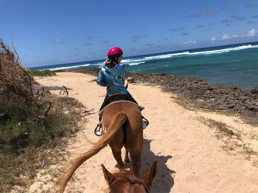 平野綾さんのインスタグラム写真 - (平野綾Instagram)「お天気よし。﻿ ﻿ 風よし。﻿ ﻿ お馬さんおりこう。﻿ ﻿ インストラクターさんKawaiiKon来てた。﻿ ﻿ ﻿ ﻿ ……完璧です♪(´ε｀ )✨﻿ ﻿ ﻿ ﻿ #northshore #oahu #hawaii﻿ #kawaiikon #kawaiikon2019  #horse #horseriding #horsebackriding﻿ #ayahirano #平野綾」4月11日 22時53分 - a_ya.hirano