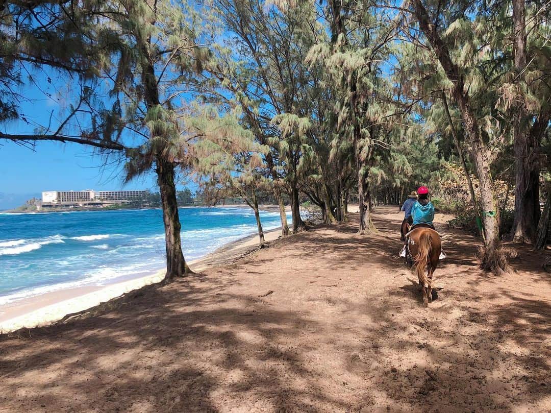 平野綾さんのインスタグラム写真 - (平野綾Instagram)「お天気よし。﻿ ﻿ 風よし。﻿ ﻿ お馬さんおりこう。﻿ ﻿ インストラクターさんKawaiiKon来てた。﻿ ﻿ ﻿ ﻿ ……完璧です♪(´ε｀ )✨﻿ ﻿ ﻿ ﻿ #northshore #oahu #hawaii﻿ #kawaiikon #kawaiikon2019  #horse #horseriding #horsebackriding﻿ #ayahirano #平野綾」4月11日 22時53分 - a_ya.hirano