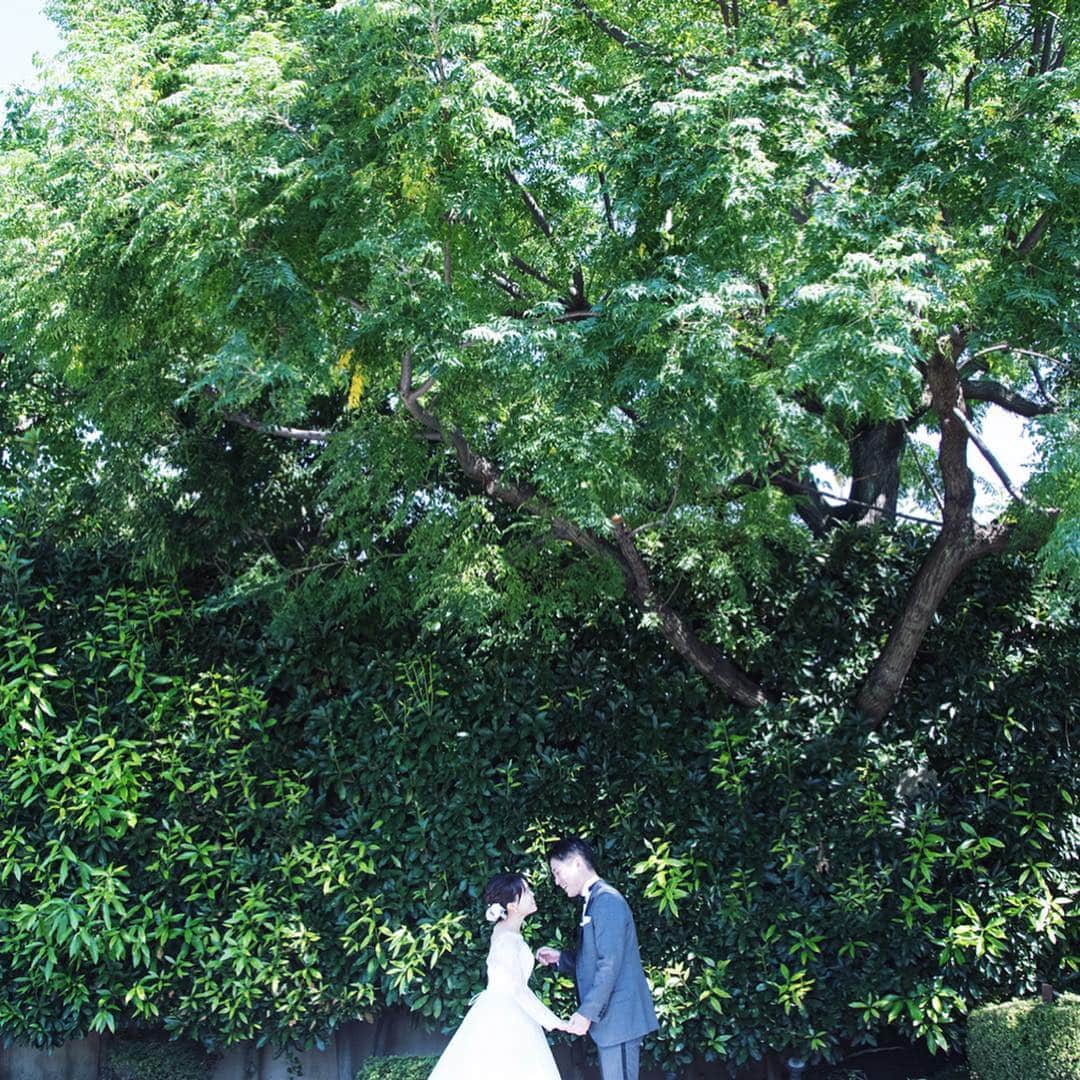 The Sally Garden（ザ サリィガーデン）のグルメインスタ