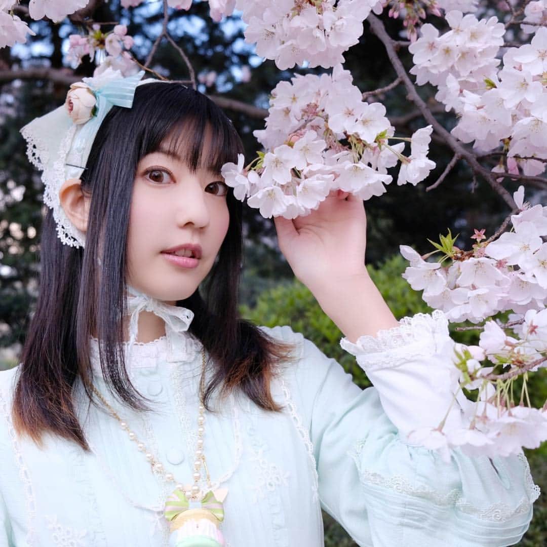 渚のインスタグラム：「おやすみなさい💤🌙 #cherryblossom #花見 #桜 #portrait #ポートレート #sweetlolita #lolita」