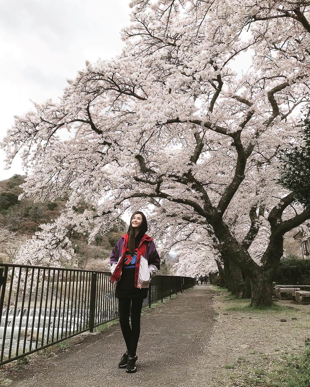 観月ありささんのインスタグラム写真 - (観月ありさInstagram)「今年はゆっくり日中にお花見出来てなかったからキッチリしてきました！ 散りゆく桜は儚いね。 また来年ね🌸 #観月ありさ#お花見#2019#箱根#桜 #japan #cherryblossom」4月11日 23時30分 - alisa_mizuki