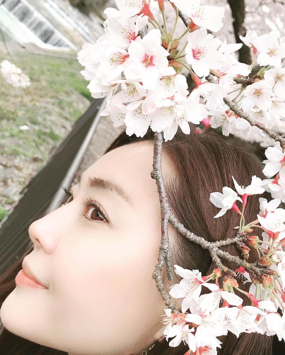 観月ありささんのインスタグラム写真 - (観月ありさInstagram)「今年はゆっくり日中にお花見出来てなかったからキッチリしてきました！ 散りゆく桜は儚いね。 また来年ね🌸 #観月ありさ#お花見#2019#箱根#桜 #japan #cherryblossom」4月11日 23時30分 - alisa_mizuki