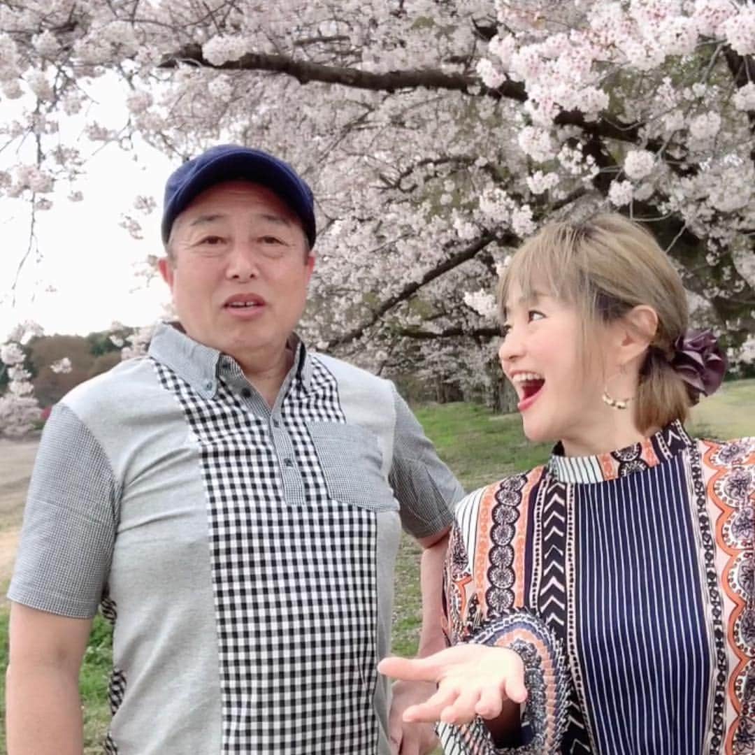 橋本志穂さんのインスタグラム写真 - (橋本志穂Instagram)「ゴルフの帰りに桜並木を見つけて立ち寄りました。 2人の会話は 「ヌーイとこの下を散歩したいねー」 「ヌーイと写真撮りたいね」 ヌーイのことばかりで あーの生活老後が心配。」4月11日 23時35分 - shihohashimoto3