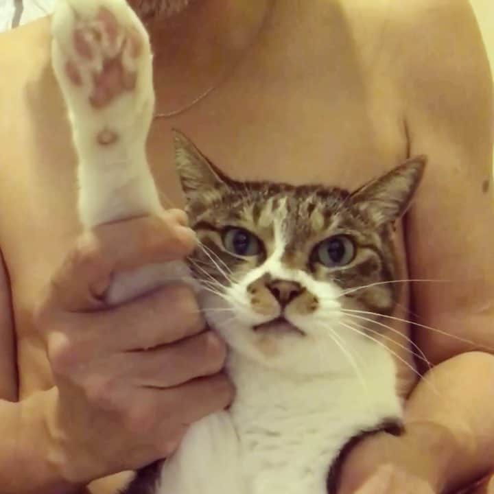 イマイアキノブのインスタグラム