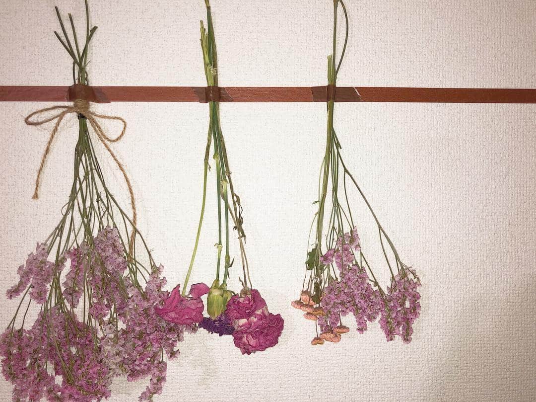 豊永阿紀さんのインスタグラム写真 - (豊永阿紀Instagram)「コント劇とCM撮影で、アイアさんにいただいた花束をドライフラワーにしました。と言っても吊るしてただけなんですけど！  まだまだ大量にあるから、そろそろお店開けるかもしらん。」4月11日 23時43分 - aki_t_official