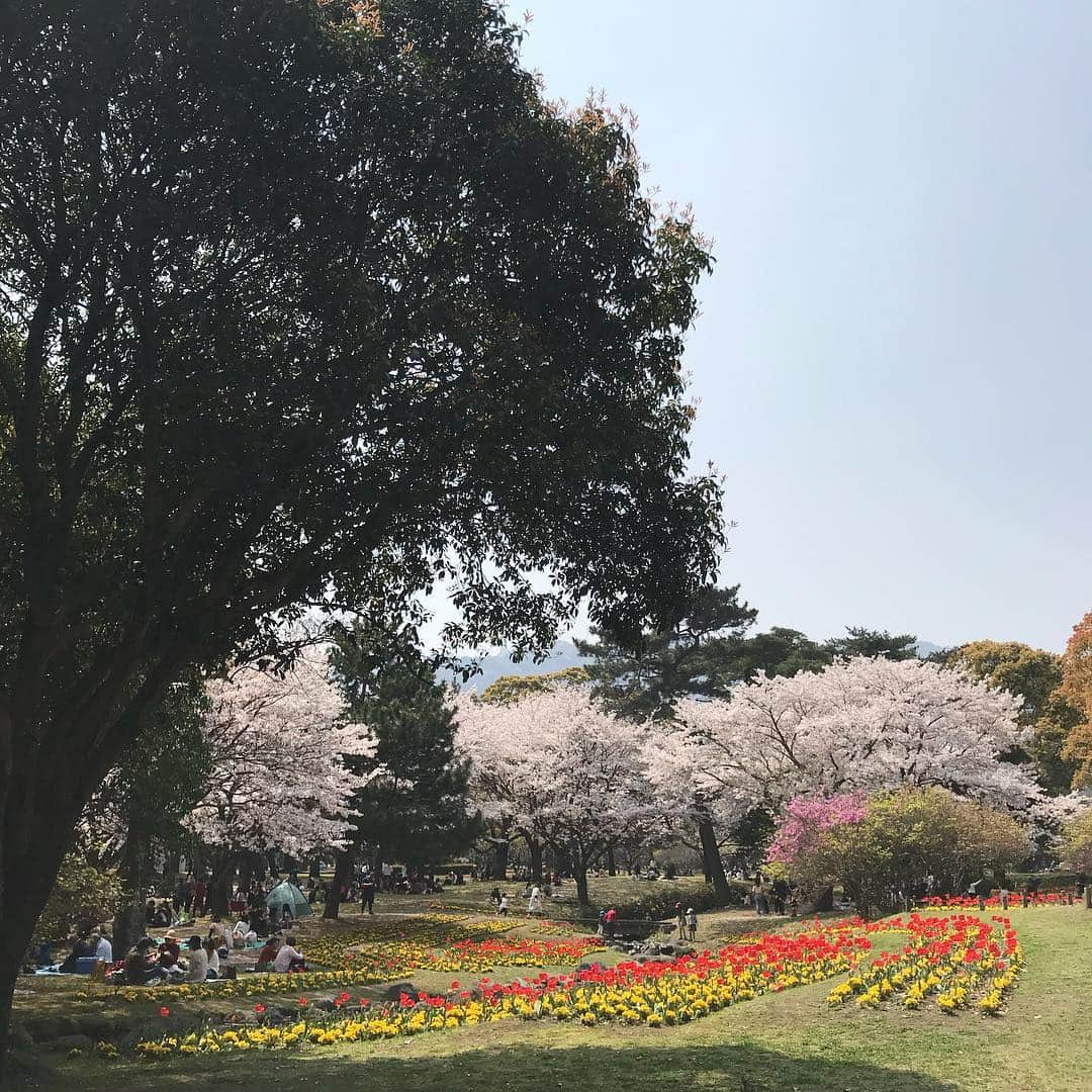 齊藤美絵さんのインスタグラム写真 - (齊藤美絵Instagram)「別府公園でカドウ建築の宴という、 デザイナーズマンションならぬ デザイナーズ屋台が並ぶイベントへ🌸  満開の桜の下、 なんて和やかな空間🌸✨✨✨ お誘い下さった絵麻さん @aburauri_ema のお友達の 青い鳥のカレー @aoitoribeppu の 美味しさと言ったら💕 幸せを運んで来てくれる味！  アンフェのナラさん @narasan246 セレクトの桜色ワインと共に🌸🌸🌸 1ヶ月前に繋がれたらいいなと 思っていた人に出逢えて、 前回の別府訪問で感動した由布院の白蜜トマトの生産者に会え、 嬉しいが止まらないお花見でした🌸  #カドウ建築の宴 #お花見 #桜 #🌸 #別府公園 #青い鳥のカレー  #ワイン  #howtobeawesome #howtobeawesometoday #ツタエルヒト。」4月11日 23時58分 - saitomie