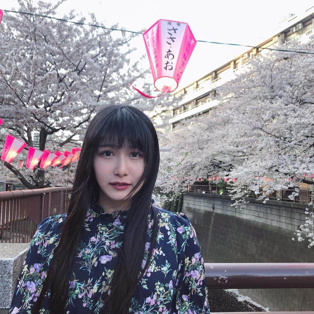 仮眠玲菜さんのインスタグラム写真 - (仮眠玲菜Instagram)「🌸 .  #目黒川  #中目黒  #花見  #桜」4月12日 0時02分 - amai_re_re