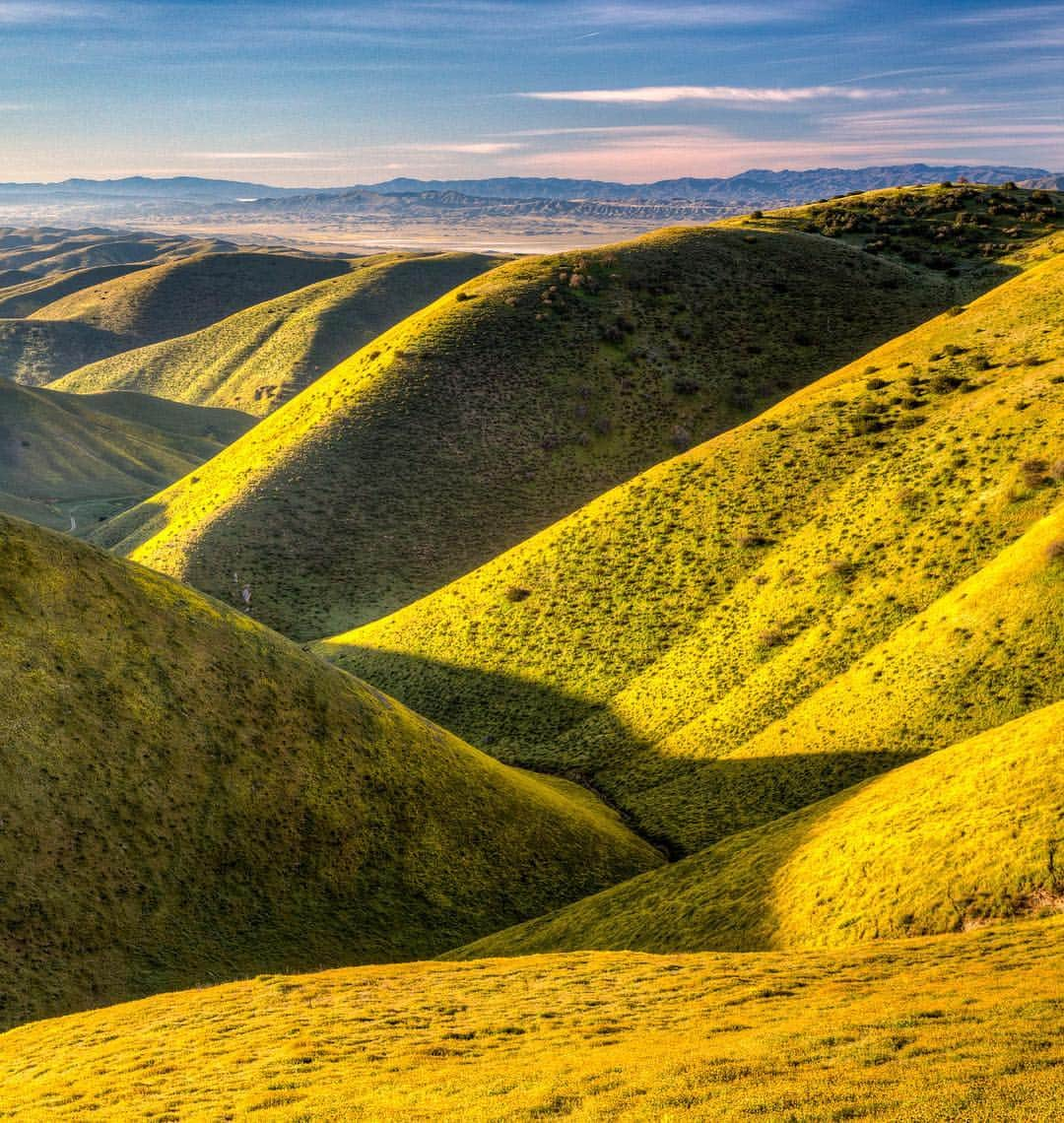 アメリカ内務省さんのインスタグラム写真 - (アメリカ内務省Instagram)「Decorating the hills of California’s Carrizo Plain National Monument and sprawling as far as the eye can see, the super bloom this year is crazy beautiful. Practicing responsible wildflower viewing determines the future of these flowers. The tapestry of color you see represents dozens of species - from Hillside daisies and Munz's Tidy tips to Great Valley phacelia. For them to re-seed, staying on trails is necessary without exception, even for a quick photo. Remember the monument is an hour from travel services -- so come prepared to be self-sufficient with a full tank of gas, plenty of water and other supplies. Photos by Bob Wick (@wickphotos), Bureau of Land Management (@mypubliclands). #trackthebloom #usinterior #leavenotrace」4月12日 0時30分 - usinterior