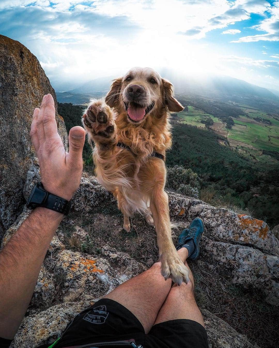 goproさんのインスタグラム写真 - (goproInstagram)「Photo of the Day: High fives + big smiles for #NationalPetDay with @francesc.ferre + @coffee_thegolden. • Flood everyone’s feeds with pets today. Post a photo of your #GoProPet + tag us. • • • @GoProES #GoProES #GoPro #Dogstagram #PetsOfInstagram #AdventureDog」4月12日 0時35分 - gopro