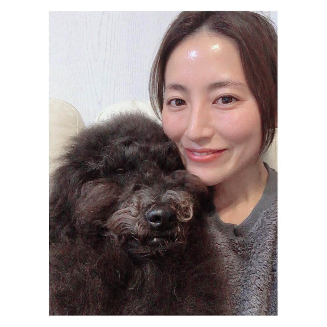 福田彩乃さんのインスタグラム写真 - (福田彩乃Instagram)「* うぃったぁぁん🐶﻿ 眠そうです﻿ 私も﻿ 眠いです﻿ 最近紅茶をよく飲んでます﻿ ポカポカして﻿ より眠さ増しています﻿ みなさんおやすみなさい✨﻿ ﻿」4月12日 0時46分 - ayanofukuda_official